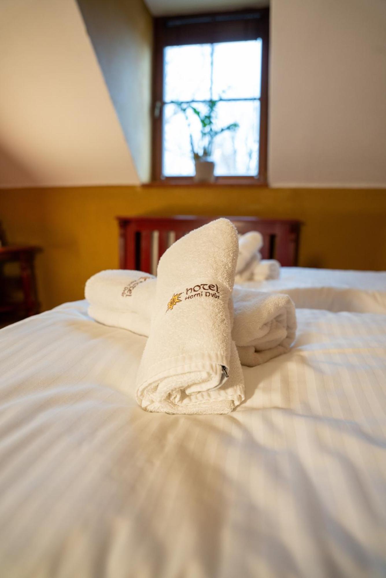 Hotel Horni Dvur Nove Mesto na Morave Extérieur photo
